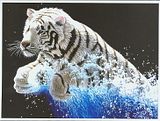 GT650 White Tiger Cub Leaping from the Ocean Cross