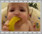 Lemon Baby