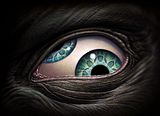 RollingEye.jpg image by carefreeonmorph