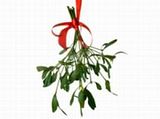 mistletoe.jpg image by livelovelust
