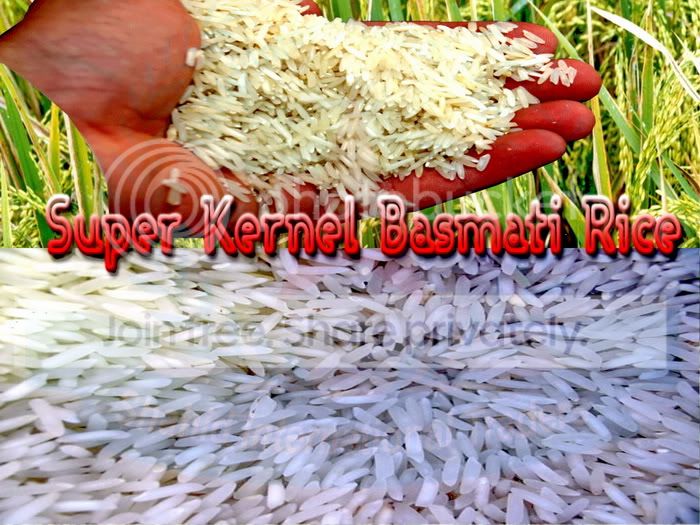 KernelBasmatiRice.jpg image by shahidintltrade