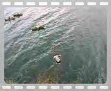 cliff diving san pedro guatemala