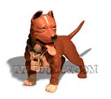 Pittbull.jpg image by morosco73