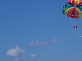 100_0049.jpg image by chrissy932