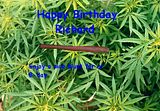 marijuana.jpg image by KL7