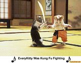 kungfu.jpg image by Kirby58