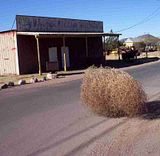 tumbleweed.jpg image by PrimitiveScrewhead1973