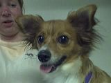 gidget.jpg image by mush1819