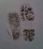 January2010003.jpg image by jillybeand