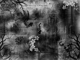 dark.jpg image by AkytoIzaki