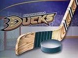 100306AnaheimDucks200.jpg image by Dodgers_Chik