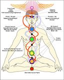 chakras.jpg image by Doumanagi009