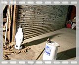 Penguin Bomb