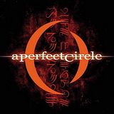 A_Perfect_Circle.jpg image by RobertLovesBryttnee