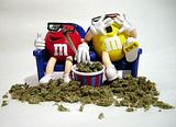 weed.jpg image by mustanglvr77