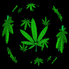 Trippy.gif image by pottyheadless
