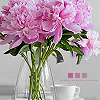 flower61.png image by abbyb1