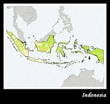 indonesia.jpg image by sasuga-pipit