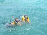 snorkeling.jpg image by longbeachkd