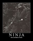 ninja-pirate.jpg image by NeverLasting2