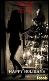 xmas.jpg image by fubarscoob