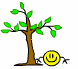 Tree Hugger