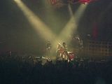 S4021177.jpg image by wastingtime08