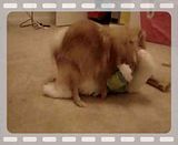 Fifi making love to the easter bunny