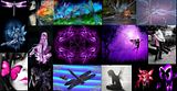 background.jpg image by vampirechc09