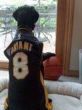 ALI'S HOOP DREAMS